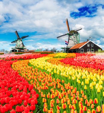 Netherlands