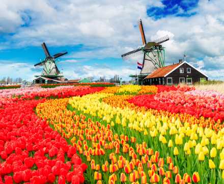 Netherlands